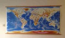 Παγκόσμιος Χάρτης με τα Ζώα (ημικυλινδρικά πηχάκια) - Μαθαίνω τα ζώα του κόσμου